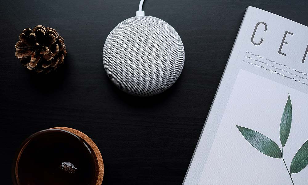 Voice search assistant home